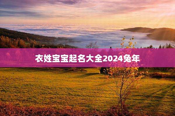 衣姓宝宝起名大全2024兔年