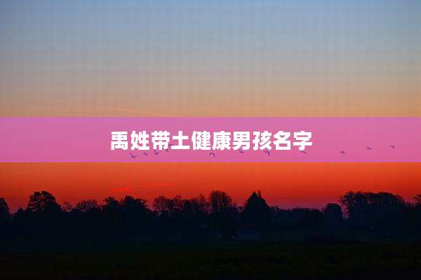 禹姓带土健康男孩名字