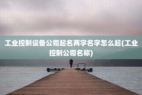工业控制设备公司起名两字名字怎么起(工业控制公司名称)
