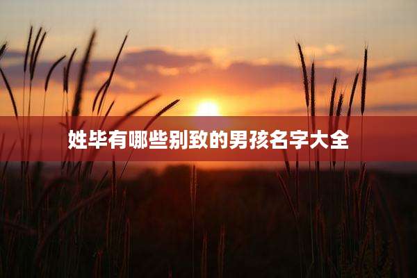 姓毕有哪些别致的男孩名字大全