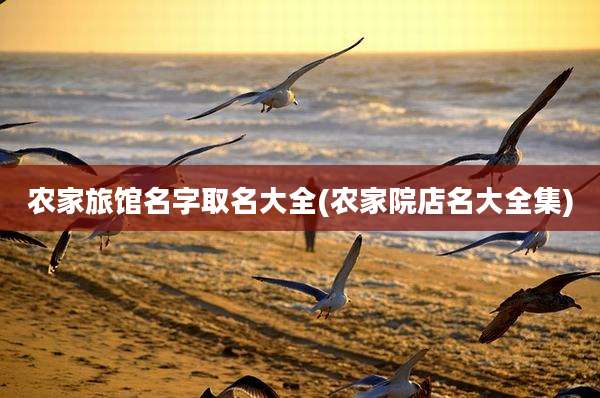 农家旅馆名字取名大全(农家院店名大全集)