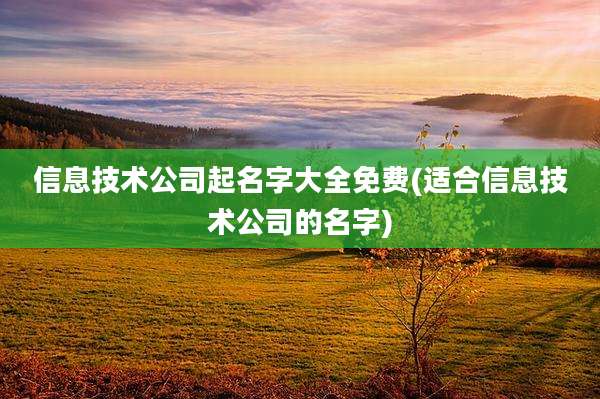 信息技术公司起名字大全免费(适合信息技术公司的名字)