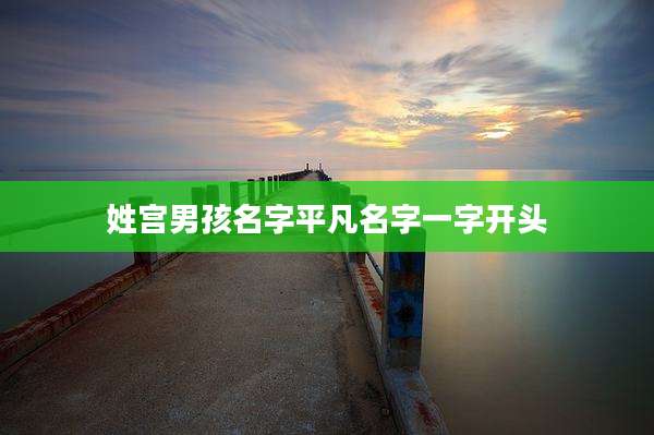 姓宫男孩名字平凡名字一字开头