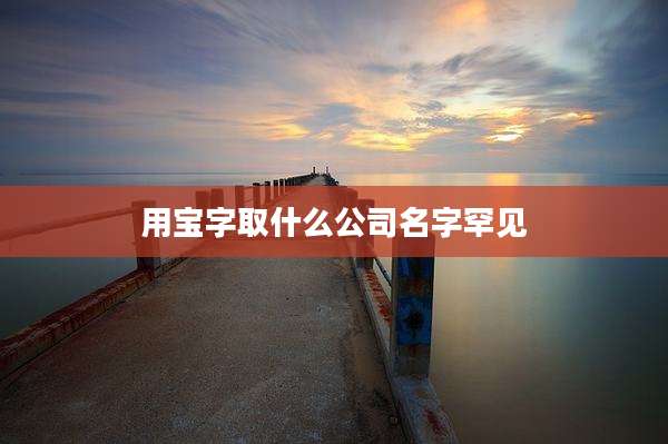 用宝字取什么公司名字罕见