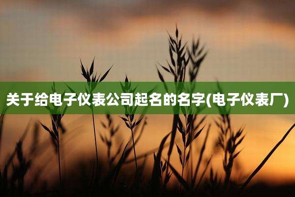 关于给电子仪表公司起名的名字(电子仪表厂)
