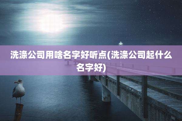 洗涤公司用啥名字好听点(洗涤公司起什么名字好)