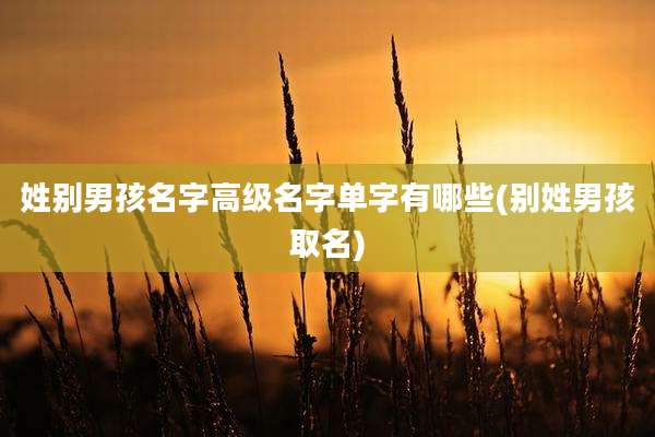 姓别男孩名字高级名字单字有哪些(别姓男孩取名)