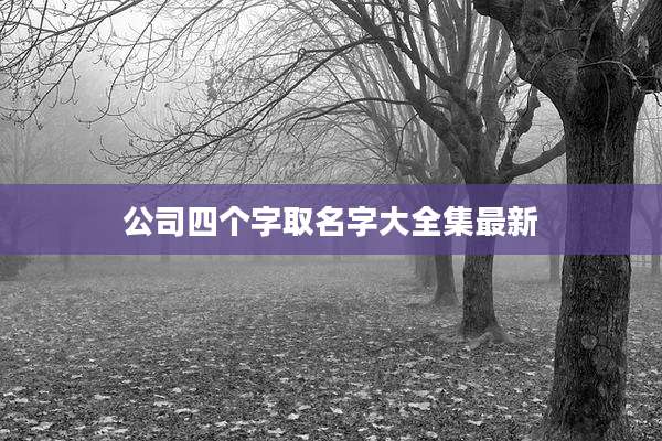 公司四个字取名字大全集最新