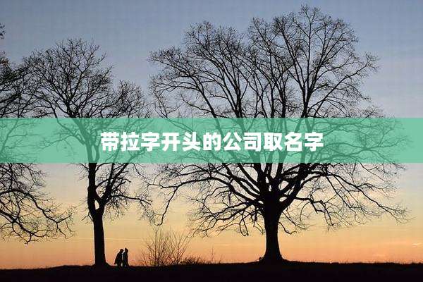 带拉字开头的公司取名字