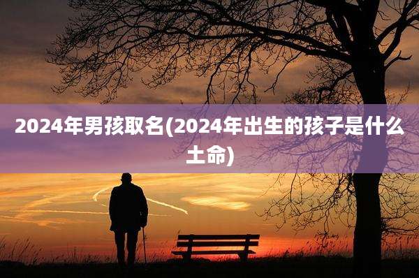 2024年男孩取名(2024年出生的孩子是什么土命)