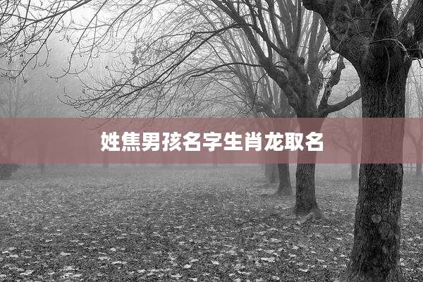 姓焦男孩名字生肖龙取名