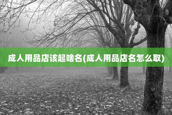 成人用品店该起啥名(成人用品店名怎么取)