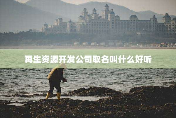 再生资源开发公司取名叫什么好听