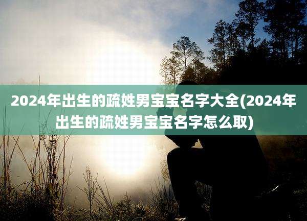 2024年出生的疏姓男宝宝名字大全(2024年出生的疏姓男宝宝名字怎么取)