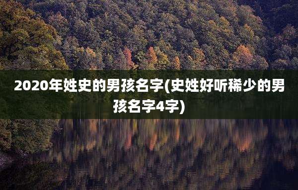 2020年姓史的男孩名字(史姓好听稀少的男孩名字4字)