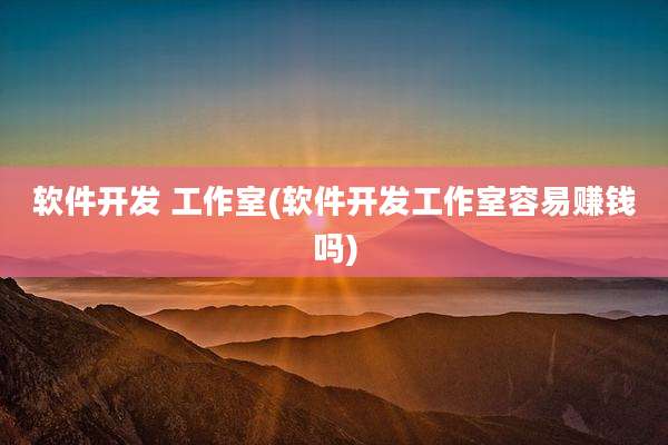 软件开发 工作室(软件开发工作室容易赚钱吗)