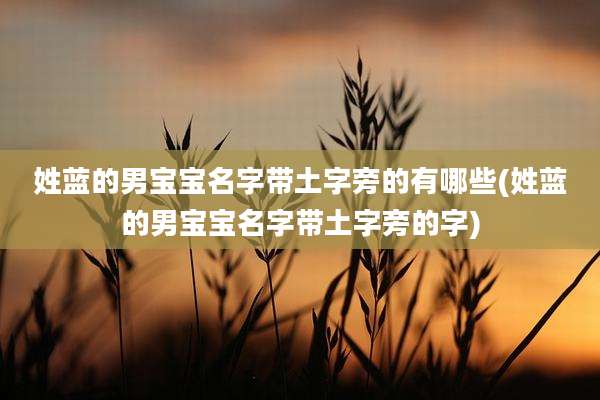 姓蓝的男宝宝名字带土字旁的有哪些(姓蓝的男宝宝名字带土字旁的字)