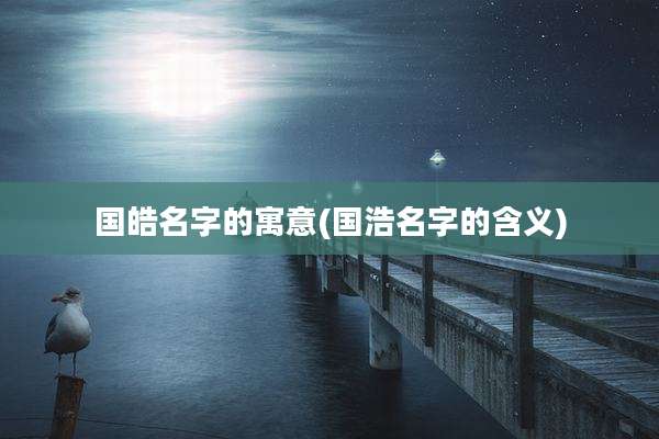 国皓名字的寓意(国浩名字的含义)