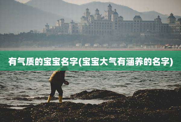 有气质的宝宝名字(宝宝大气有涵养的名字)