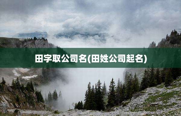 田字取公司名(田姓公司起名)