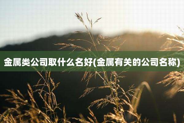金属类公司取什么名好(金属有关的公司名称)