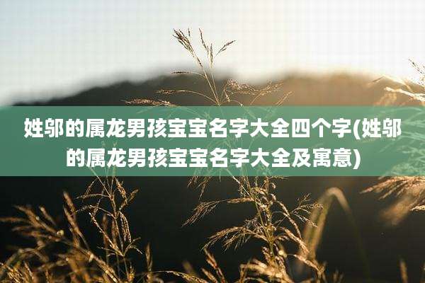 姓邬的属龙男孩宝宝名字大全四个字(姓邬的属龙男孩宝宝名字大全及寓意)