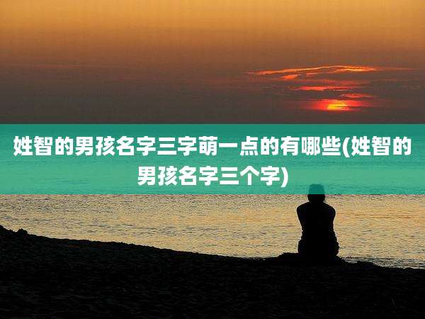 姓智的男孩名字三字萌一点的有哪些(姓智的男孩名字三个字)