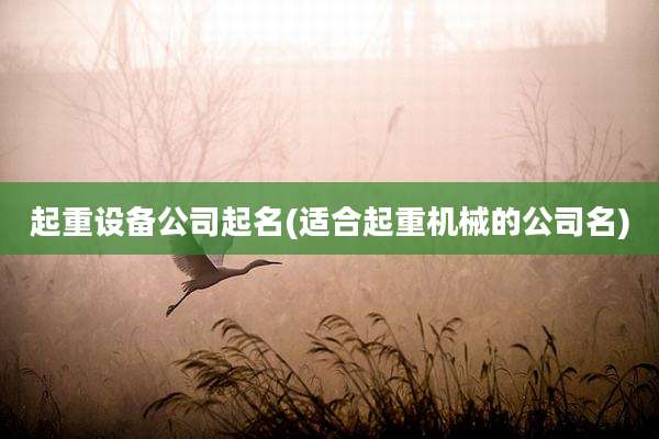 起重设备公司起名(适合起重机械的公司名)