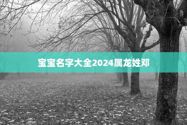 宝宝名字大全2024属龙姓邓