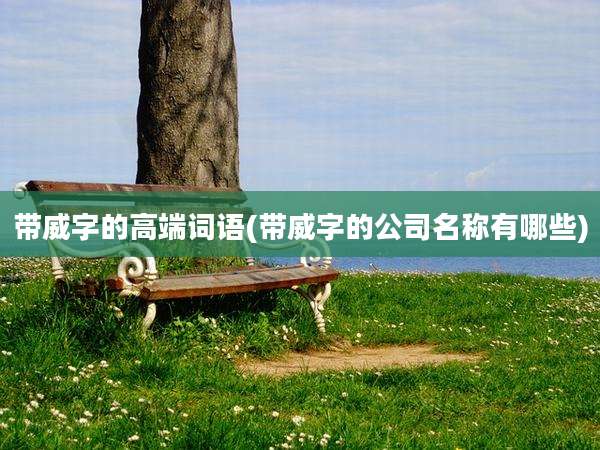 带威字的高端词语(带威字的公司名称有哪些)