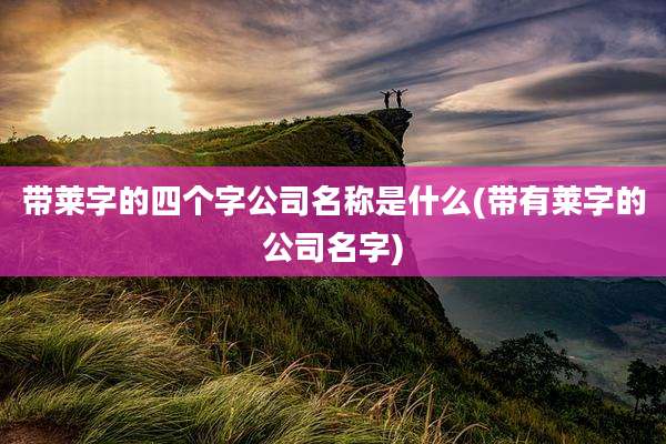 带莱字的四个字公司名称是什么(带有莱字的公司名字)