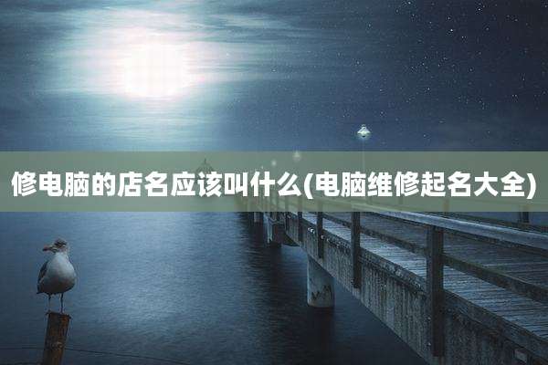 修电脑的店名应该叫什么(电脑维修起名大全)