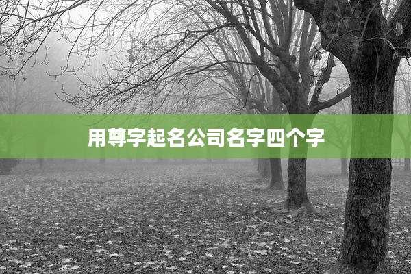 用尊字起名公司名字四个字