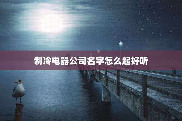 制冷电器公司名字怎么起好听