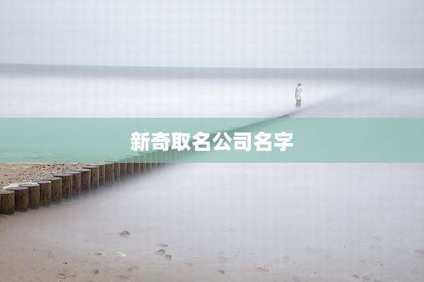 新奇取名公司名字
