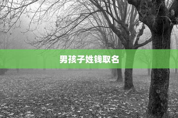 男孩子姓钱取名