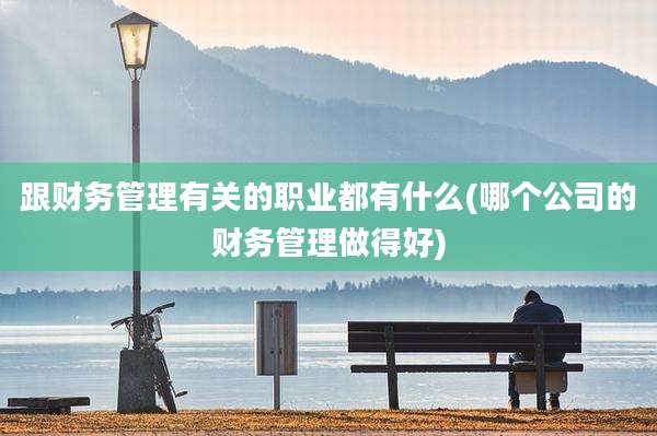 跟财务管理有关的职业都有什么(哪个公司的财务管理做得好)
