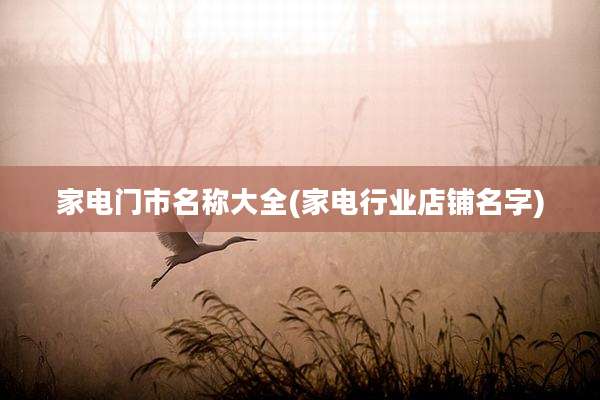 家电门市名称大全(家电行业店铺名字)