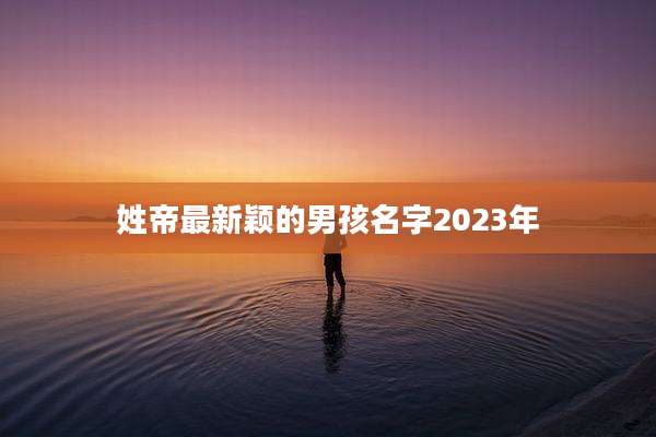 姓帝最新颖的男孩名字2023年