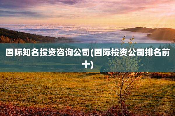 国际知名投资咨询公司(国际投资公司排名前十)