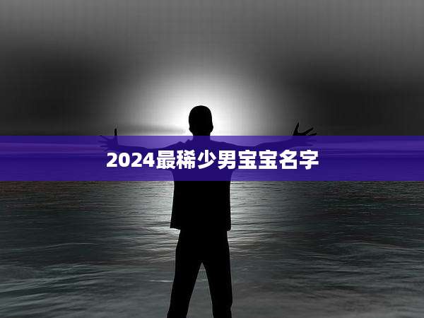 2024最稀少男宝宝名字