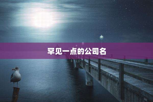 罕见一点的公司名