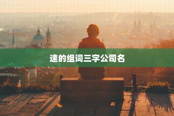 速的组词三字公司名