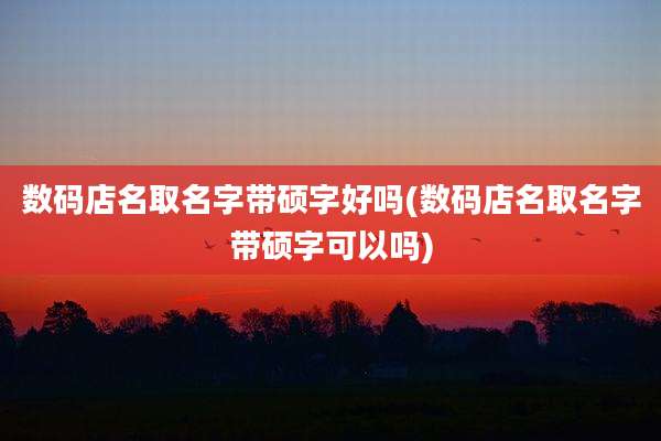 数码店名取名字带硕字好吗(数码店名取名字带硕字可以吗)