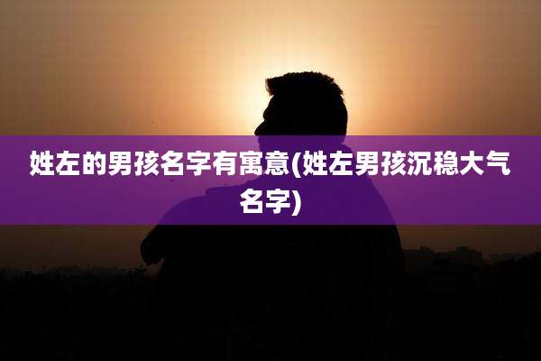姓左的男孩名字有寓意(姓左男孩沉稳大气名字)