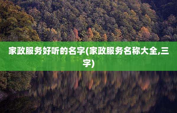 家政服务好听的名字(家政服务名称大全,三字)