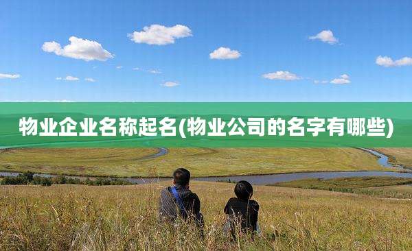 物业企业名称起名(物业公司的名字有哪些)