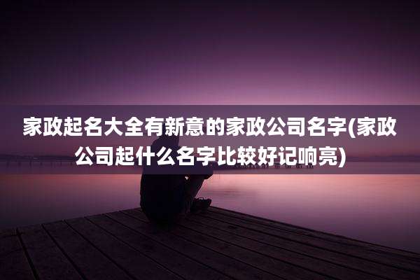 家政起名大全有新意的家政公司名字(家政公司起什么名字比较好记响亮)
