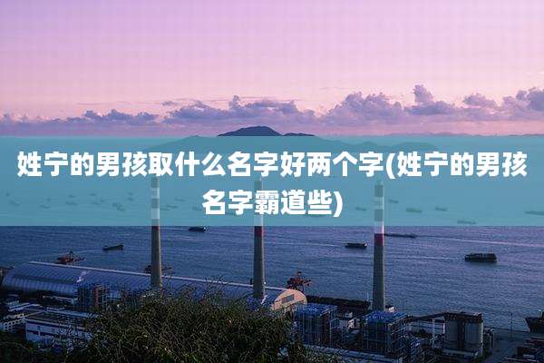 姓宁的男孩取什么名字好两个字(姓宁的男孩名字霸道些)