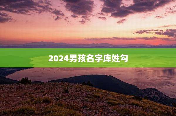 2024男孩名字库姓勾